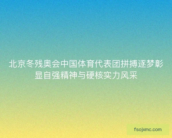 北京冬残奥会中国体育代表团拼搏逐梦彰显自强精神与硬核实力风采