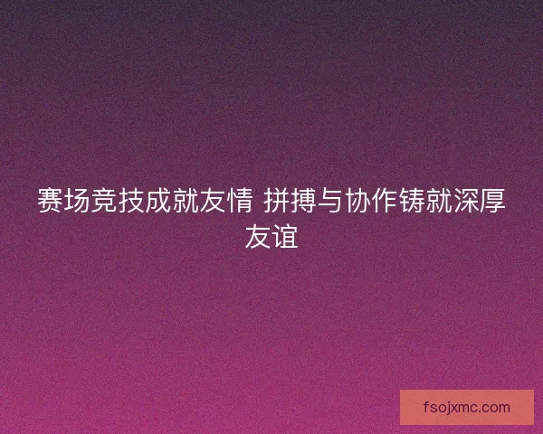 赛场竞技成就友情 拼搏与协作铸就深厚友谊