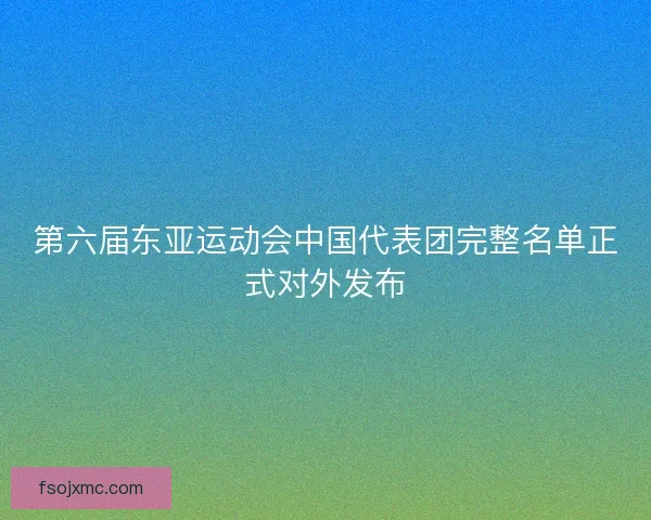 第六届东亚运动会中国代表团完整名单正式对外发布