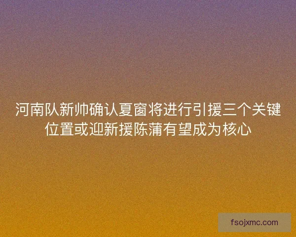 河南队新帅确认夏窗将进行引援三个关键位置或迎新援陈蒲有望成为核心