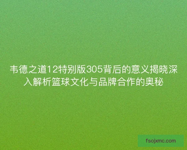 韦德之道12特别版305背后的意义揭晓深入解析篮球文化与品牌合作的奥秘